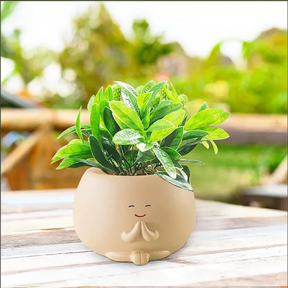 Hanging Face Planter Pot Smile Head Succulent Decor Planter