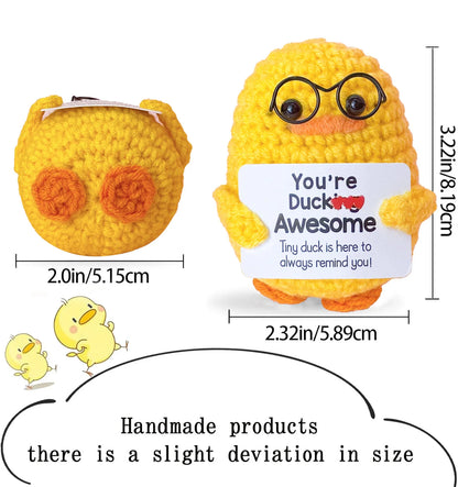 Handmade Crochet Pocket Hug Doll – Positive Energy Plush Gift