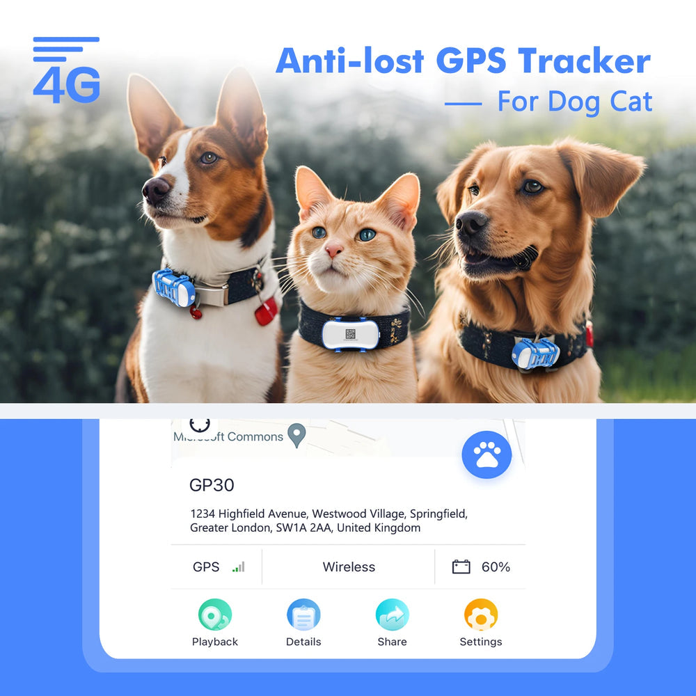 Safe Return Tech GPS Pet Tracker